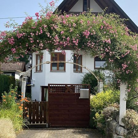 Apartamento Dalea Bad Waldsee Exterior foto