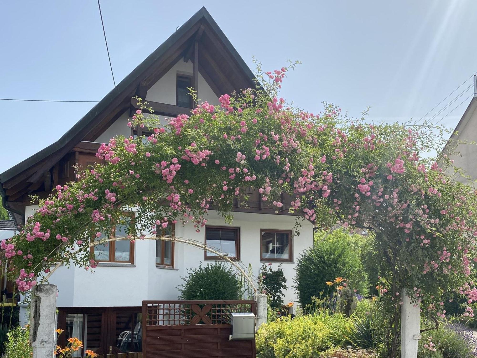 Apartamento Dalea Bad Waldsee Exterior foto